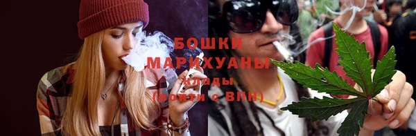 ПСИЛОЦИБИНОВЫЕ ГРИБЫ Аркадак