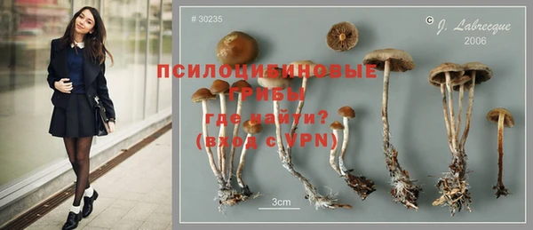 ПСИЛОЦИБИНОВЫЕ ГРИБЫ Аркадак