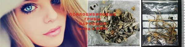 стаф Армянск